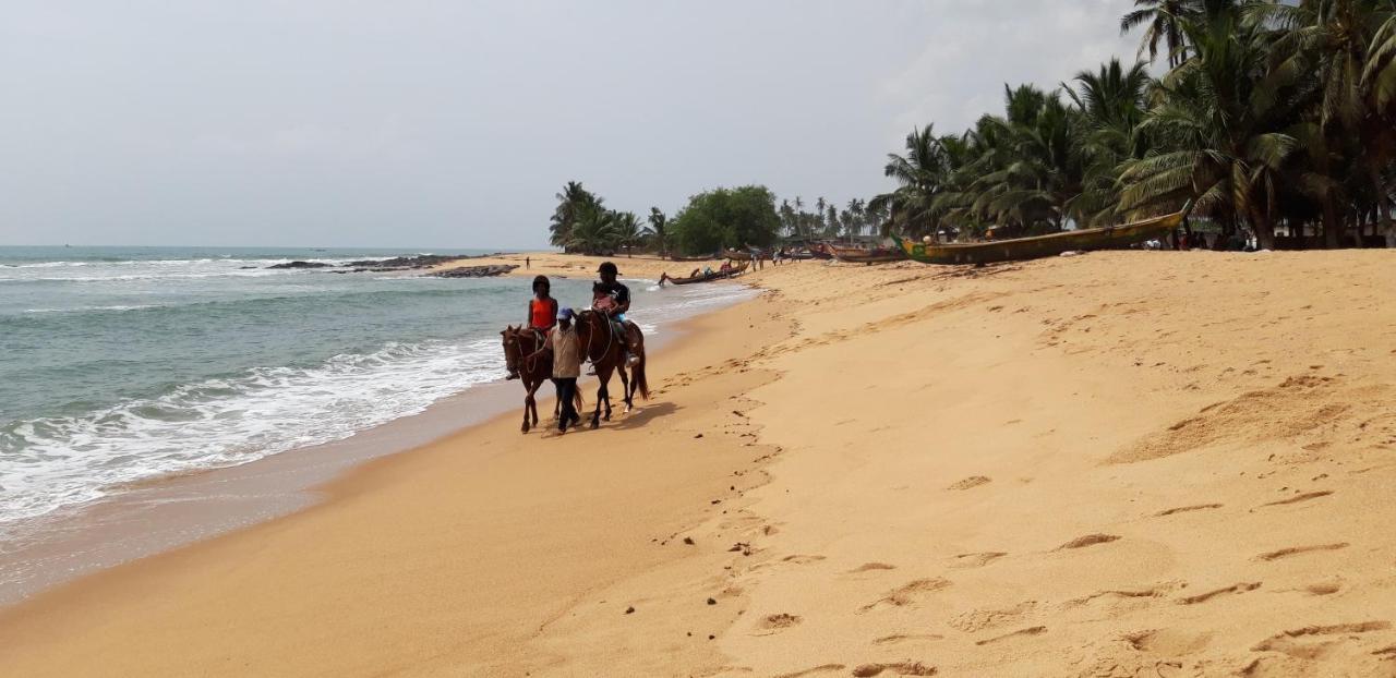 Afiki Otel Elmina Dış mekan fotoğraf