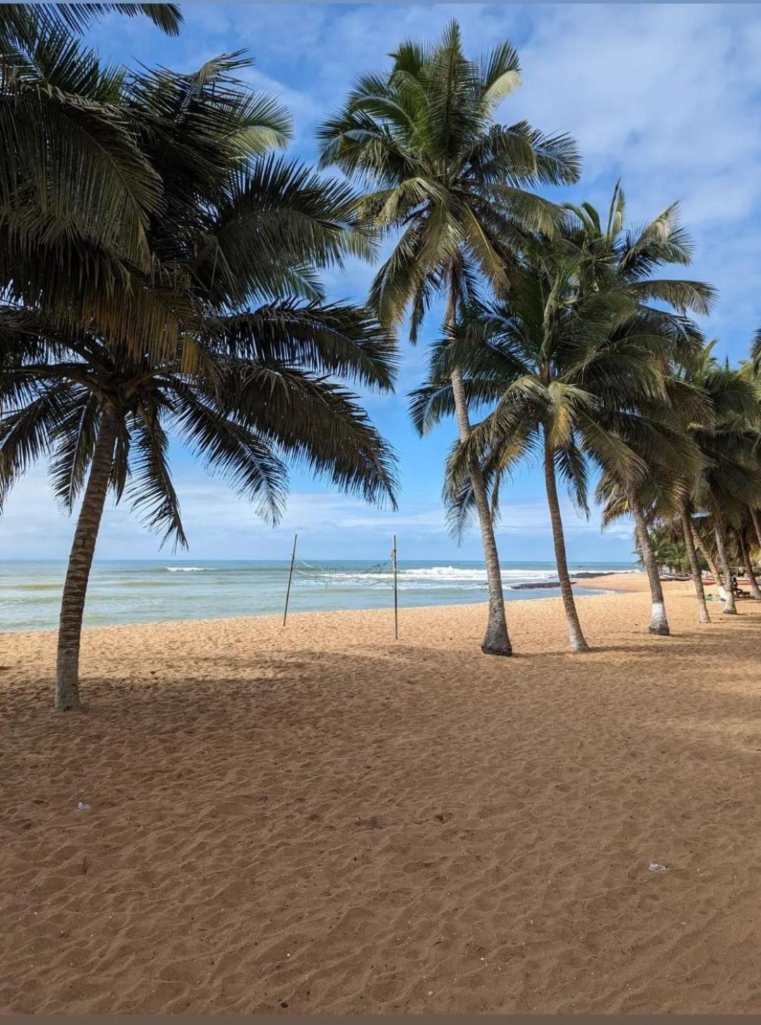 Afiki Otel Elmina Dış mekan fotoğraf